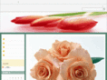 flower-pure-booth.com