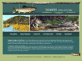 tailwatergallery.com