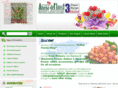 athenadeflorist.com