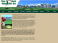simulatorgolf.net