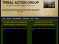 tribalactiongroup.com