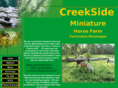 creeksideminis.com