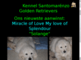 goldenretrievers-puppies.com