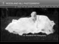 photos4weddings.com