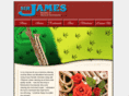 sirjamesrepair.com