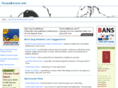 texasborzoi.net