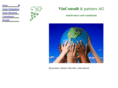 vinconsult-partners.com