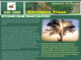 zaccheustrees.com