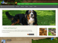 4pawsholistic.com