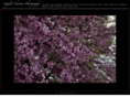 angelachristinephotography.com