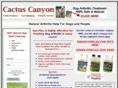 cactuscanyon.com