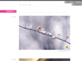 nanoboto.com