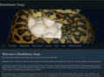 bladeblasterherps.com