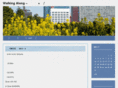 curu-curu.net