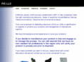 fabianinc.com