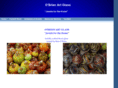 obrienartglass.com