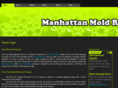 manhattanmoldremovalservices.com