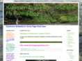 nwflyfishblog.com