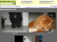 sammybear.com