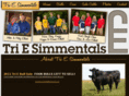 triesimmentals.com