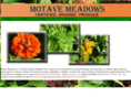 motavemeadows.com