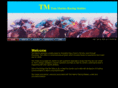 tommarinoracingstables.com