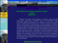 bisonaquaticsclub.com
