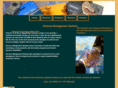 revmsystems.com