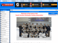 schighschoolhockey.com