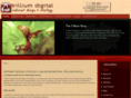trilliumdigital.com