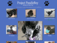 poodleboy.com