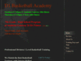 d1basketballacademy.com