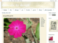 elaine-domesticbydesign.com