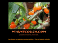 myrmecodia.com