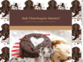 gotchoclequindanes.com