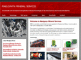 maelgwyn.com