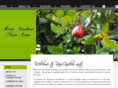 rawcashewnuts.com