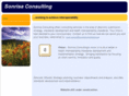 sonrisaconsulting.com