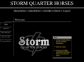 stormquarterhorses.com