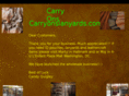 carryonslanyards.com