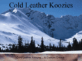 coldleather.com