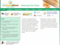 ocwga.com