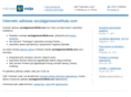 socialgamesinstitute.com