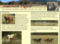somerville-ranch.com