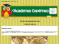 academiacopernico.com