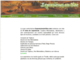 expresionesenoleo.com