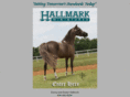 hallmarkminiatures.com