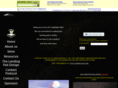 ufolandingpad.com