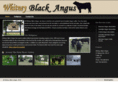 whitneyblackangus.com