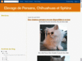chaton-disponible.com